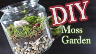 DIY Moss Terrarium How To Make A Moss Garden [upl. by Lea]