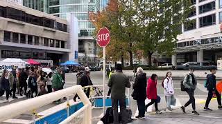 Grey Cup Fans passing by [upl. by Ahsak]