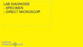 Microbiology 370 c LeptoSpirosis Weils Disease Lab Diagnosis [upl. by Saundra294]