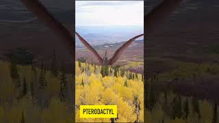 Pterodactyl  Dinosaurs  Dinosaur Sounds  Flying Dino [upl. by Ibed]