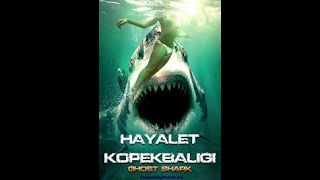 18 KÖPEK BALIĞI DEHŞETİ AKSİYON TÜRKÇE 2019 [upl. by Rochkind]