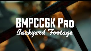 Backyard Test Footage  BMPCC6K Pro [upl. by Suqram697]