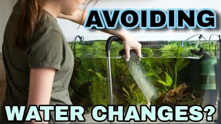 Do Aquariums Need Water Changes Filterless Deep Substrate Planted Tanks amp When to Change Water [upl. by Acimat]