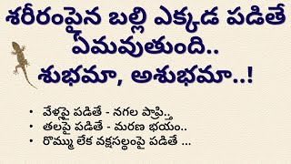 శరీరంపైన బల్లి ఎక్కడ పడితే ఏమవుతుంది  Balli sastram in Telugu  Lakshmi Kataksham dharmasandehalu [upl. by Alethia663]