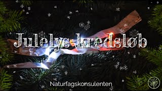 Julelyskredsløb  Juleforsøg [upl. by Sabra]