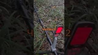 Серія знахідок перстенів… metaldetecting minelabxterrapro metaldetector карпати 2024 ліс [upl. by Leik921]