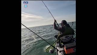 ROBALO  Pesca ao corrico fishingmethod fishing pescariaderobalo pesca fishingtechniq pesca [upl. by Narayan]