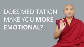 Does Meditation Make You More Emotional with Yongey Mingyur Rinpoche [upl. by Rentschler]