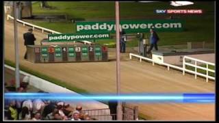 Irish Greyhound Derby 2009 [upl. by Nilrem]