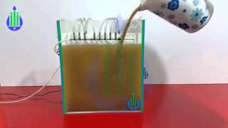 Membrane Bioreactor Pilot MBR [upl. by Aleusnoc]