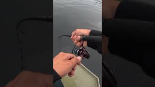 Smallmouth bass fishing bassfishing novascotia smallmouthbass [upl. by Yntruoc]