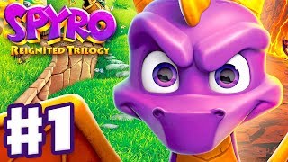 The Legend of Spyro A New Beginning  Full Game 100 [upl. by Adnilav]