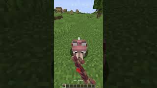 Minecraftta köpeklerin yeni GİZLİ özelliği minecraft gaming [upl. by Nohcim]