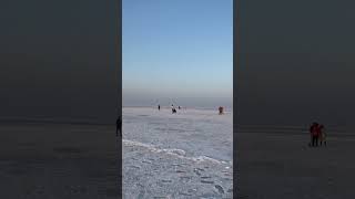 Rann utsav  White Rann of Kutch Gujarat [upl. by Annoif]