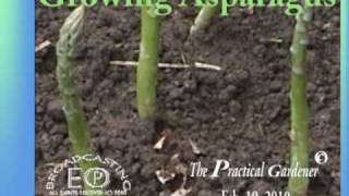 Growing AsparagusThe Practical Gardener [upl. by Ran]