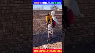 Funniest Hourse moment😂shorts funny funnyvideo trendingshorts animals lubbuhindustani hourse [upl. by Say]