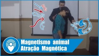 Magnetismo animal e atração magnética [upl. by Hillery]