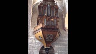 Orgue de Tournus [upl. by Annayi]