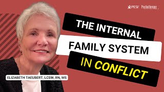 The Internal Family System in Conflict [upl. by Adnilab]