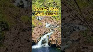 maui hawaii usa travel nature waterfalls roadtrip [upl. by Sukcirdor604]