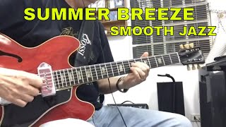 Summer Breeze  Guitar Instrumental [upl. by Anawed570]