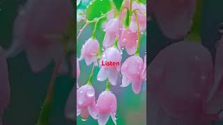 Barish Ban Jana Song bollywood song music jubinnautiyal love viralvideo superhitmusic [upl. by Krispin]