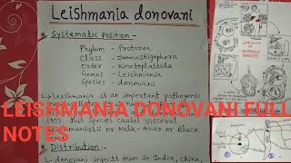 Leishmania donovani full notes [upl. by Eylrahc532]