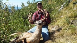 338 Edge Long Range Hunting Mule Deer [upl. by Daigle]