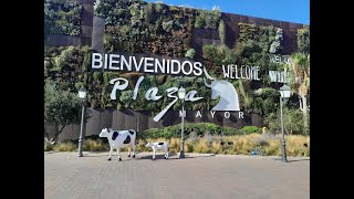 CHECKING OUT A NEW ADDITION TO PLAZA MAYOR  MÁLAGA [upl. by Rhtaeh326]