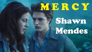 Mercy  Shawn Mendes Clip sur Twilight soustitré en français [upl. by Yhtrod232]