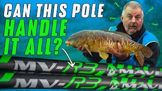 Pole fishing for big carp and silvers  Maver MVR3 pole review [upl. by Denna]