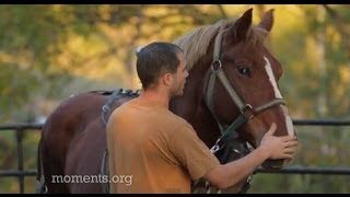 The Horse Logger A Moment of Hope [upl. by Noiram]