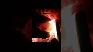 CANDLING CHICKEN EGGS DAY 13 Viral Shorts [upl. by Annawyt592]