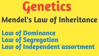 Genetics  Mendels Law of Inheritance  Pravin Bhosale [upl. by Kara-Lynn707]