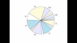 Changing mtDNA haplogroup frequencies through European prehistory [upl. by Llednil]