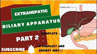 Extrahepatic biliary apparatus  Part 2  complete ayeshamedicaleducation [upl. by Aramen]