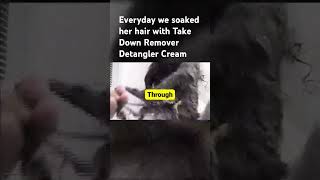 Effective Hair Detangling Strategies for Severe Tangles detangle detanglingnaturalhair untangled [upl. by Duston]