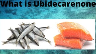 What is Ubidecarenone [upl. by Ylesara737]