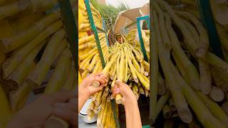 Sugarcane prank  wait for twist funnyprank desilog qaisarmuneer [upl. by Oneil809]