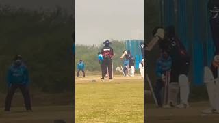 Wickets are flying cricketlife cricket [upl. by Bust]