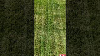 Aeration and Overseeding Large Lawn [upl. by Glanti]