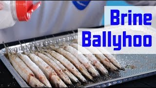 How to Prep Ballyhoo  How to Brine Baits [upl. by Oliva]