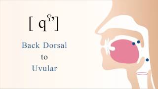 qˤʼ  unvoiced pharyngealized back dorsal uvular ejective stop [upl. by Hoseia]