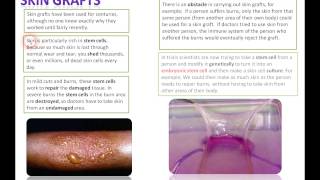 KS4 Stem Cells [upl. by Salokcin]