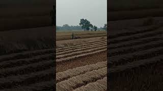 mini harvestermrbhupendraportevlog [upl. by Violante]