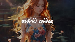 පණට නමක්  Panata Namak  slowed reverb music [upl. by Moyna]