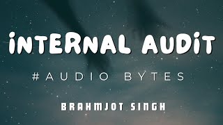 Internal Audit Audio Revision  Brahmjot Singh [upl. by Nialb13]