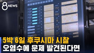 5박 6일 후쿠시마 시찰…오염수에 문제가 발견된다면  SBS 8뉴스 [upl. by Emmett]