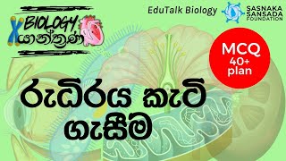 රුධිර කැටි ගැසීම  Blood Clotting  EduTalk Biology [upl. by Mitch984]