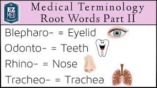 Medical Terminology MADE EASY Root Words Part II Nursing Flash Cards [upl. by Ellis804]